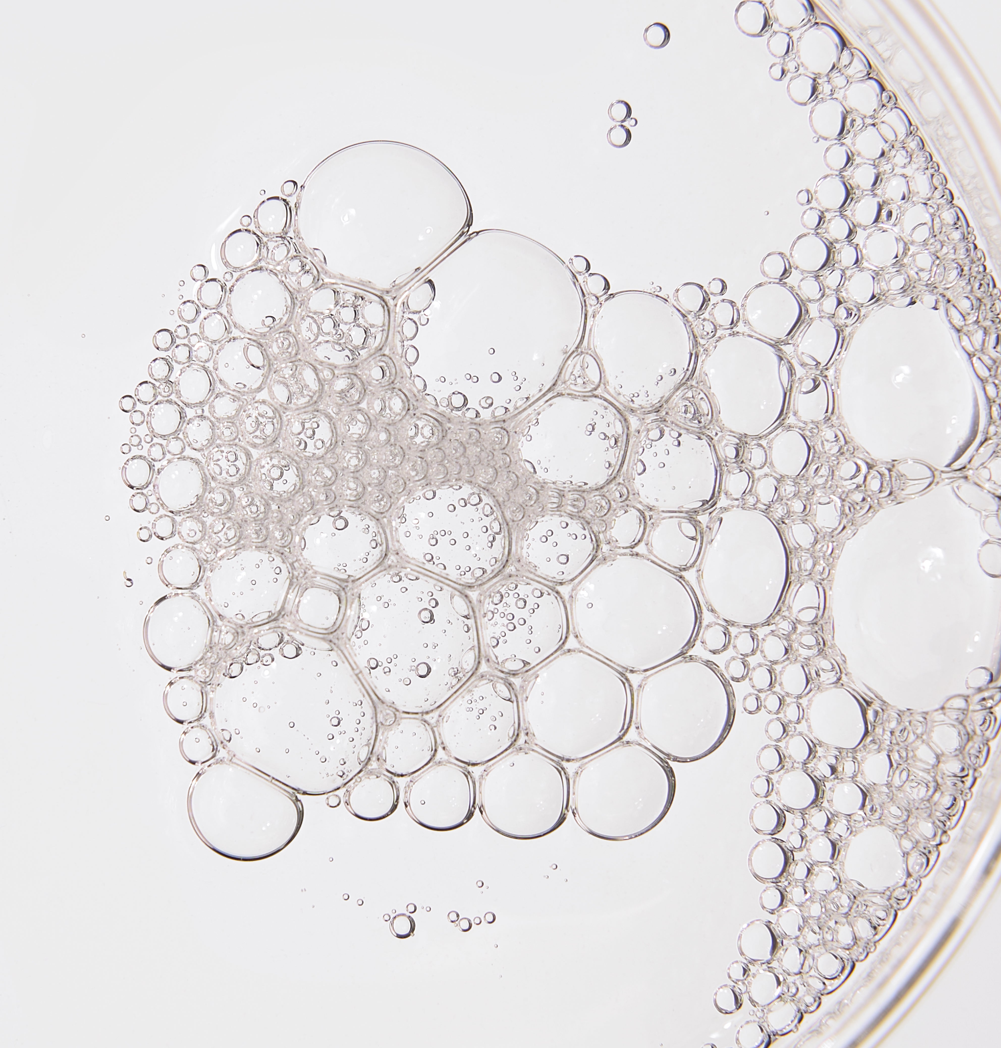 Anti Breakout Serum | with Zinc, Tea Tree Oil & Probiotics